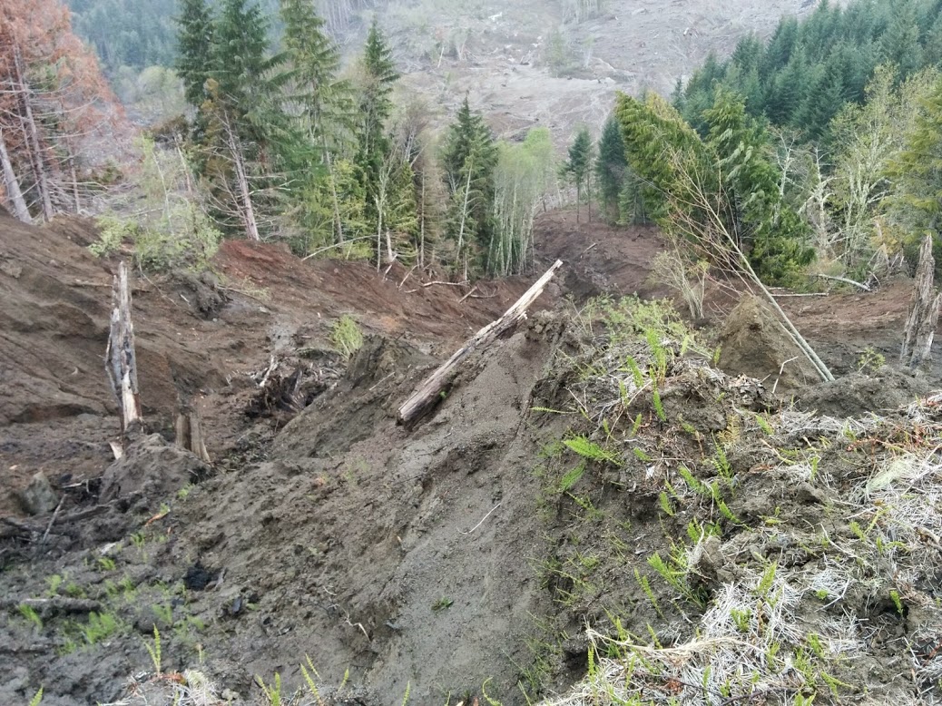 Silt Creek Slide